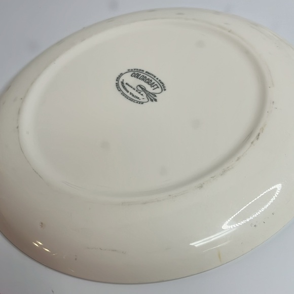 Taylor Smith Colorcraft Floral Plate - Picture 7 of 8